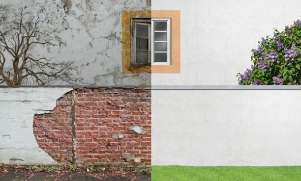 Mold Documentation for Insurance Claims in Jensen Beach, FL