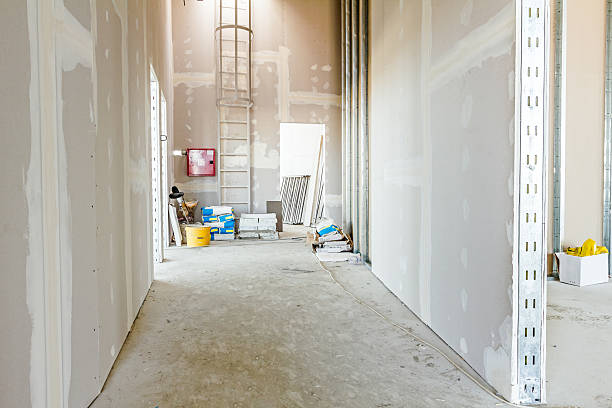 Best Mold Documentation for Insurance Claims  in Jensen Beach, FL
